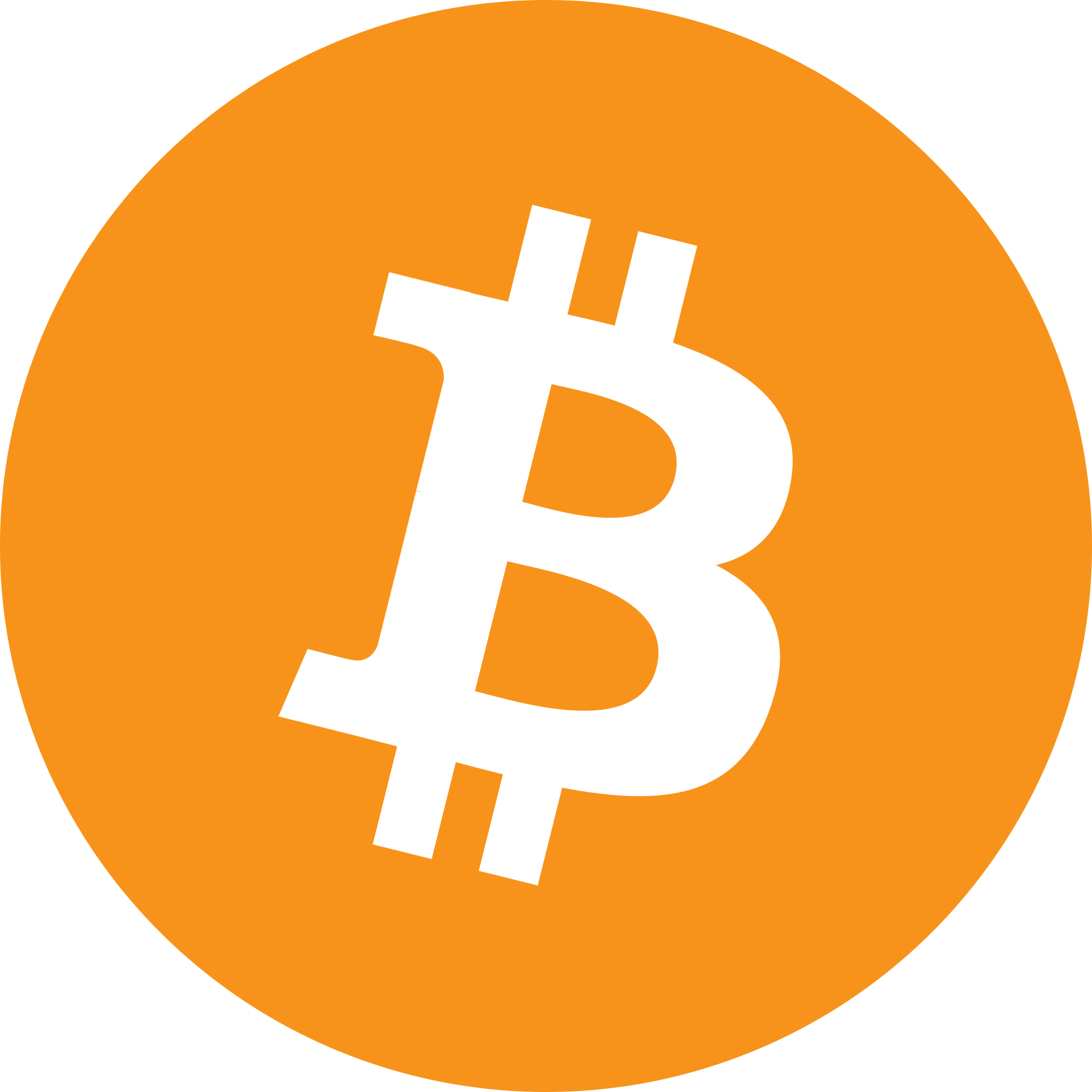 Bitcoin Wallet icon